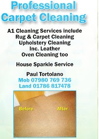 A1 carpet and upolstery Cleaners 349731 Image 0